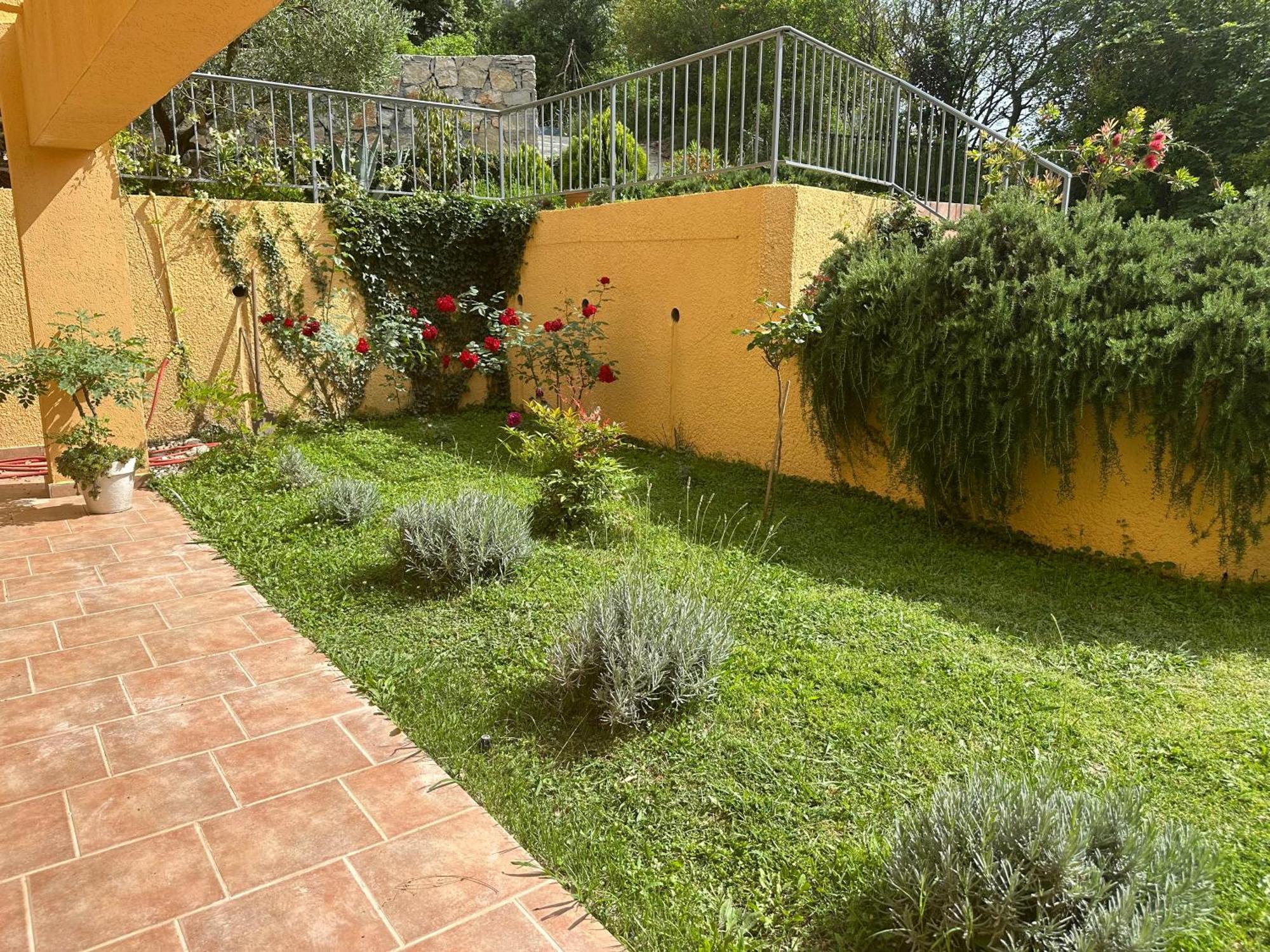 Villa Risan Apartments Buitenkant foto